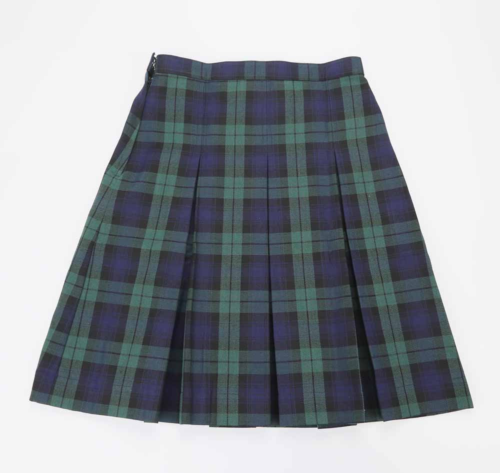 Plaid skirt green outlet and blue